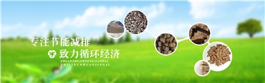 倪維斗院士：通過技術(shù)創(chuàng)新，大力發(fā)展超級能源生物質(zhì)燃料